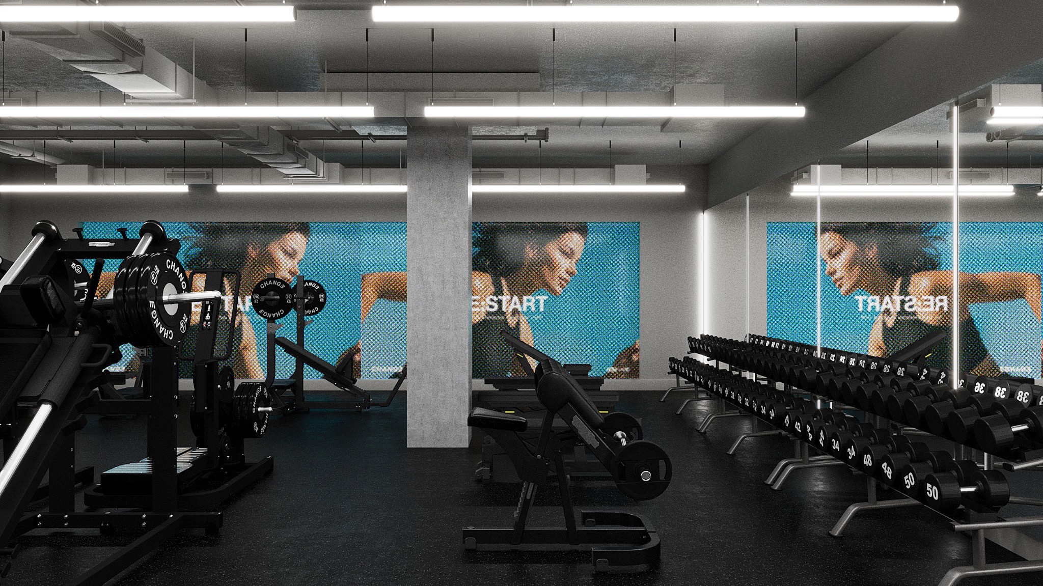 SURRY HILLS · SYDNEY — Weights Hall — Performance Screen